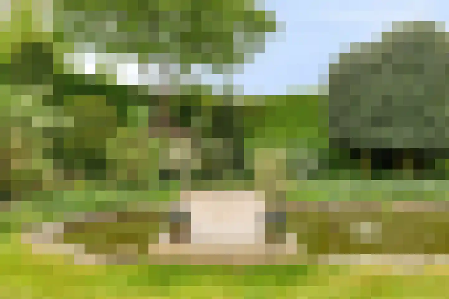 Haanse Hoef 9 Dongen thumbnail 74