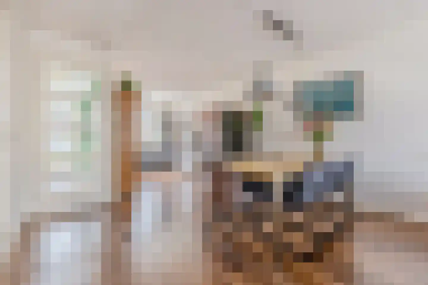 Haanstraat 10 Wormer thumbnail 10