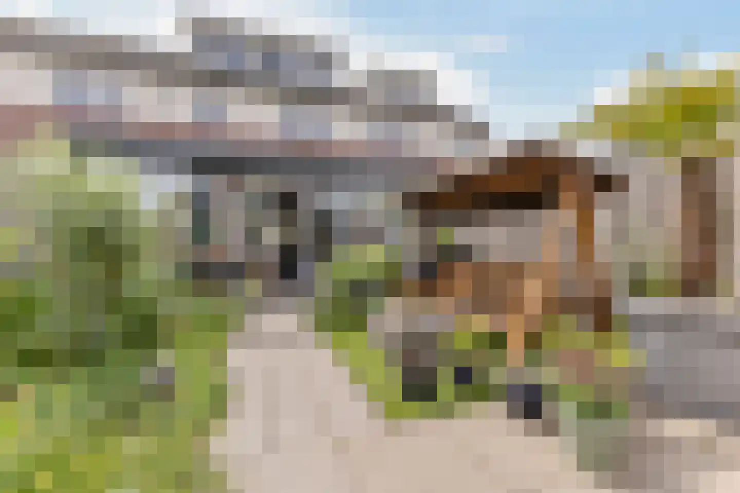 Haanstraat 10 Wormer thumbnail 14