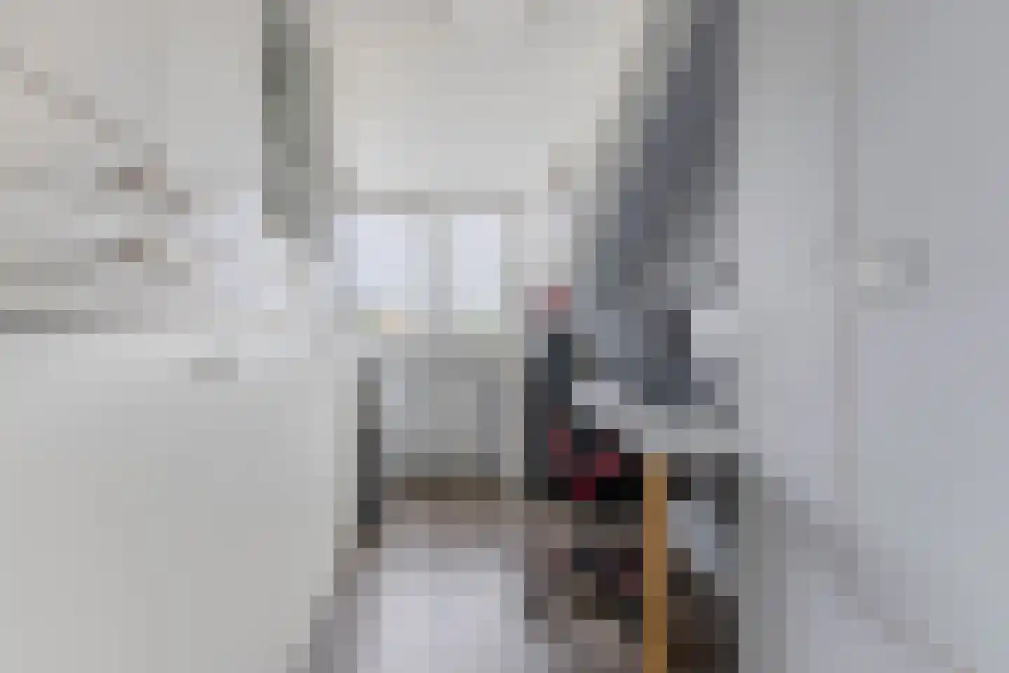 Haanstraat 10 Wormer thumbnail 28