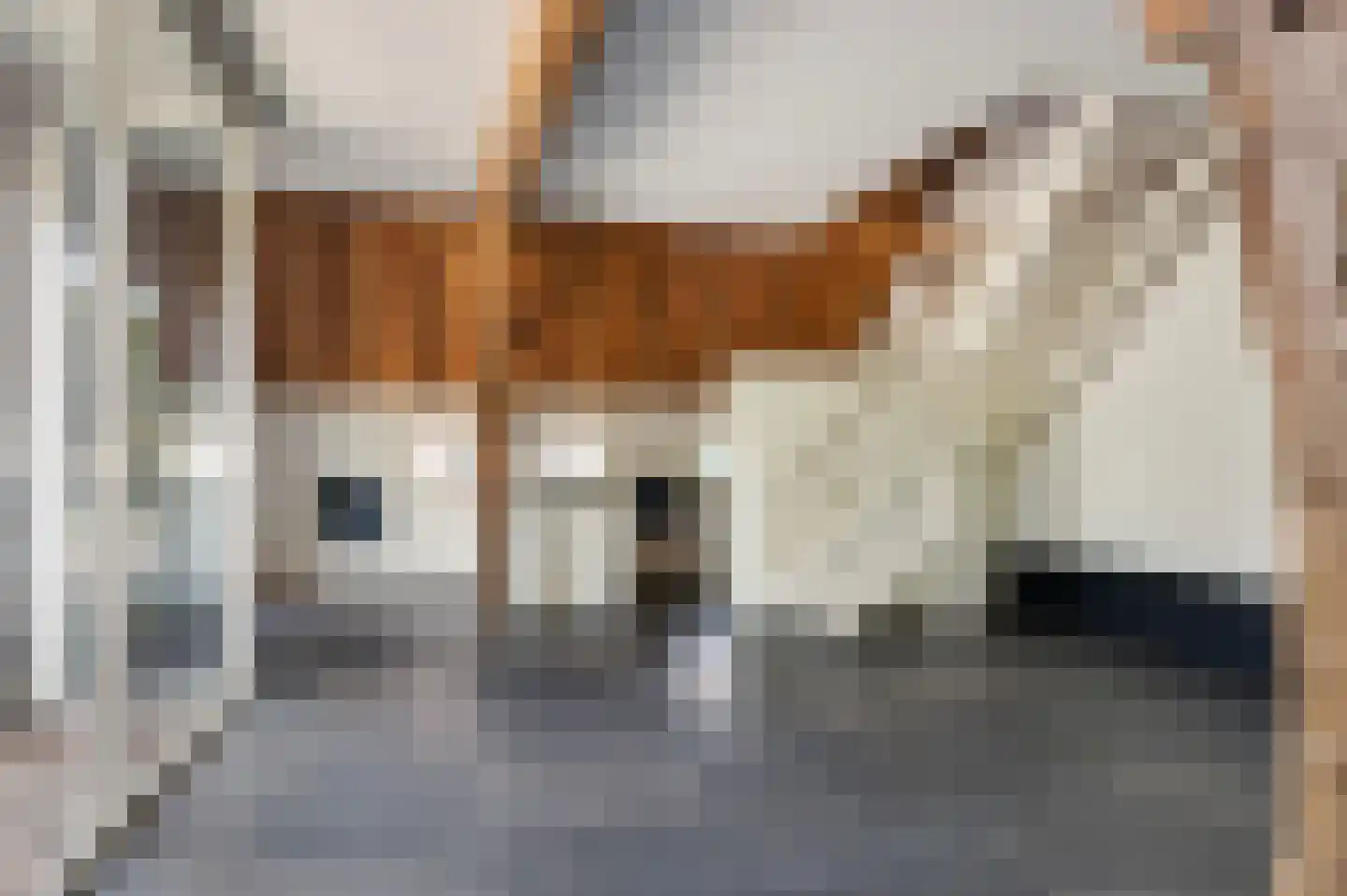 Haanstraat 4 Voorst thumbnail 10