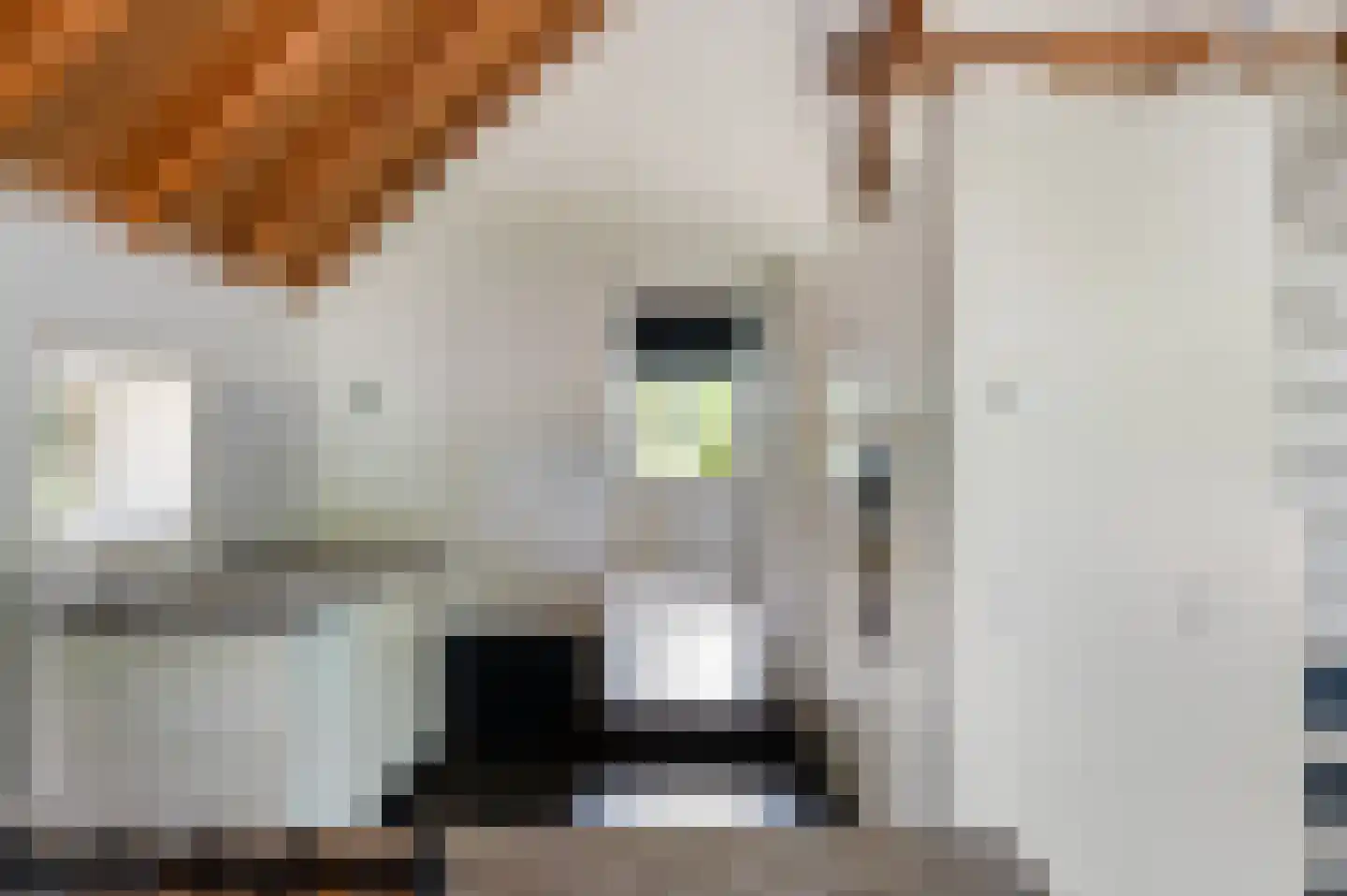 Haanstraat 4 Voorst thumbnail 15