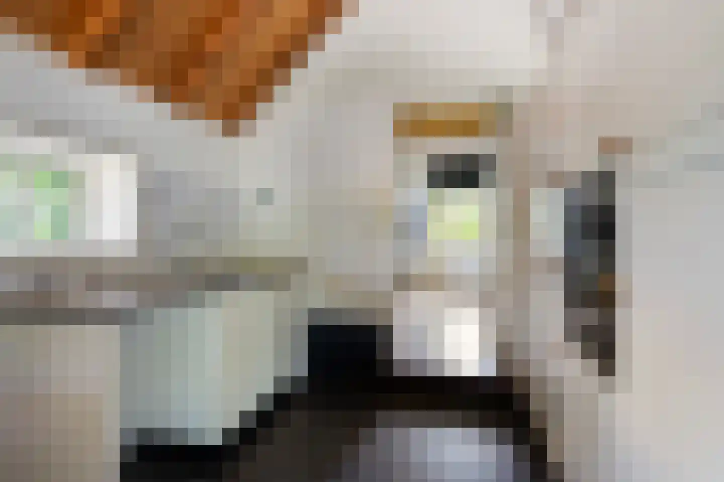 Haanstraat 4 Voorst thumbnail 16