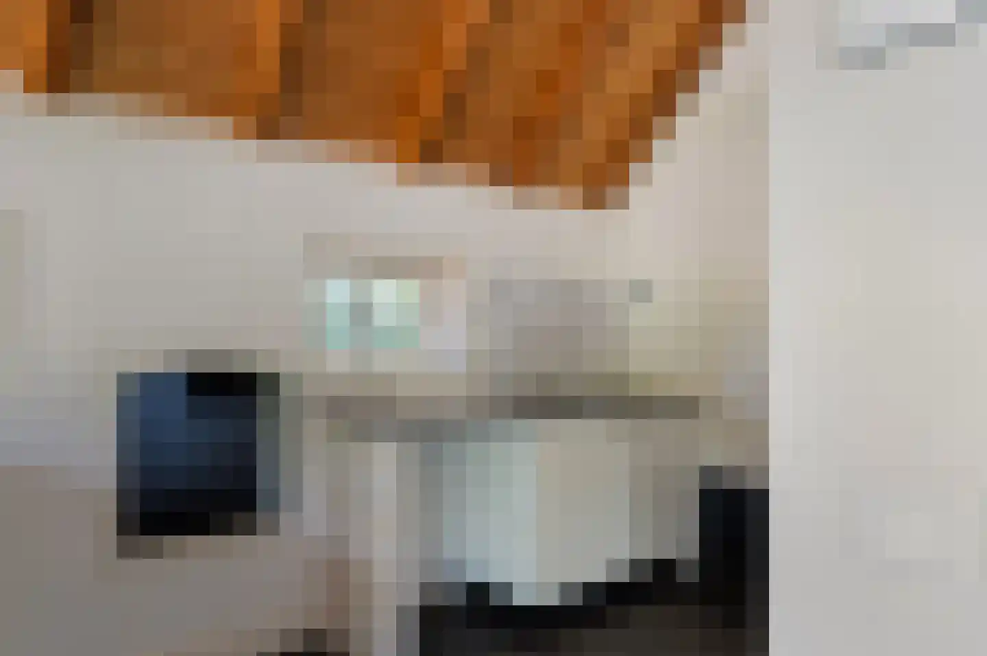 Haanstraat 4 Voorst thumbnail 18