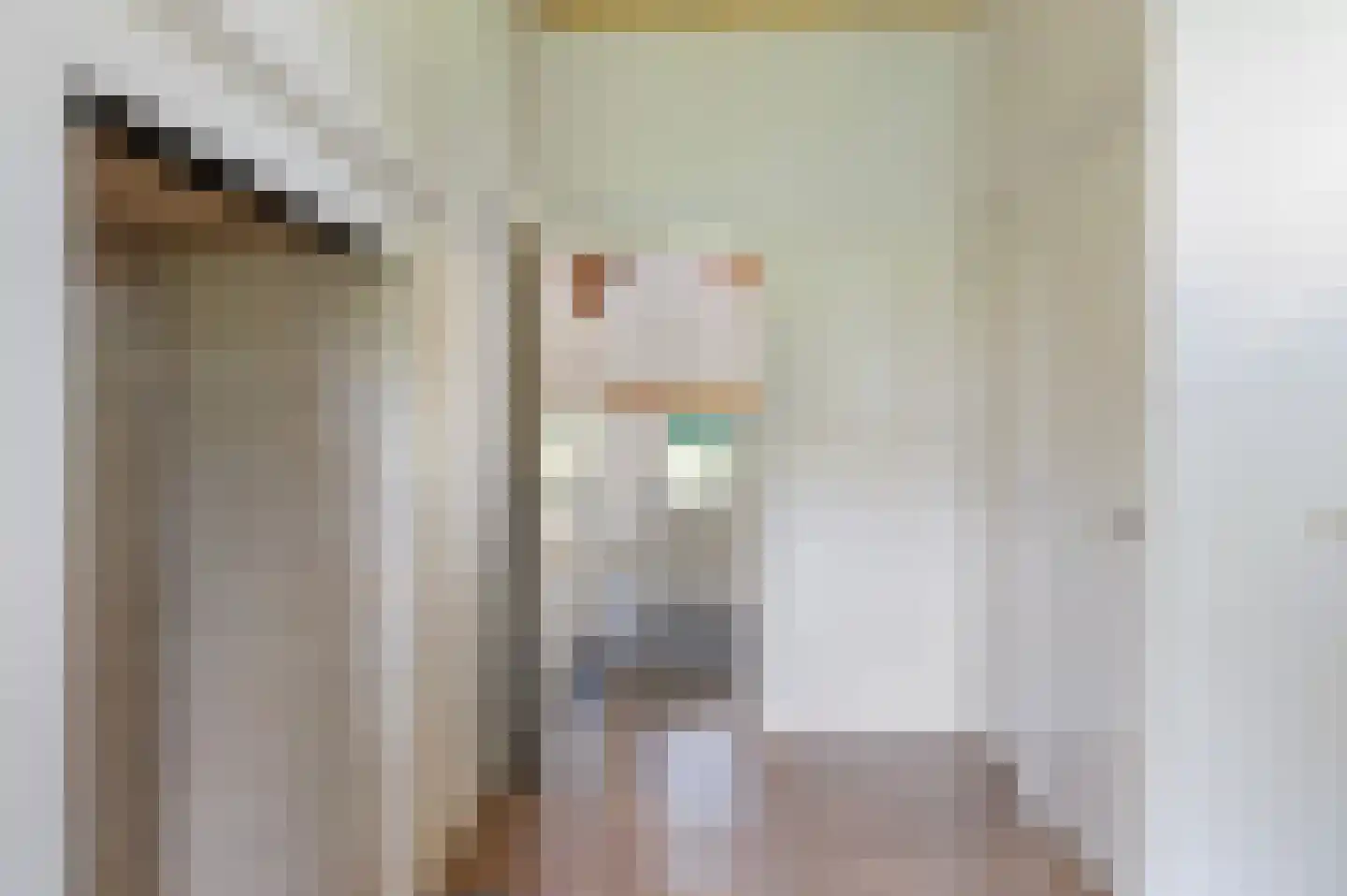 Haanstraat 4 Voorst thumbnail 21