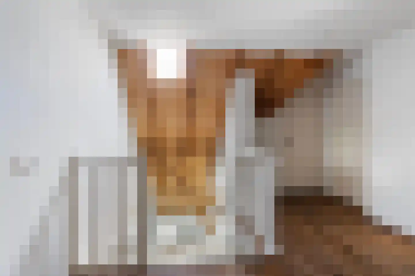 Haanstraat 4 Voorst thumbnail 29