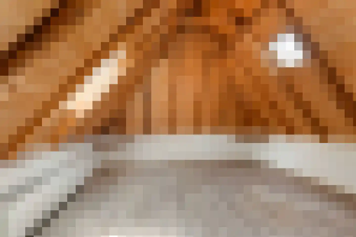 Haanstraat 4 Voorst thumbnail 35