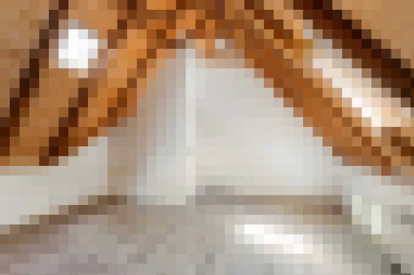 Haanstraat 4 Voorst thumbnail 36