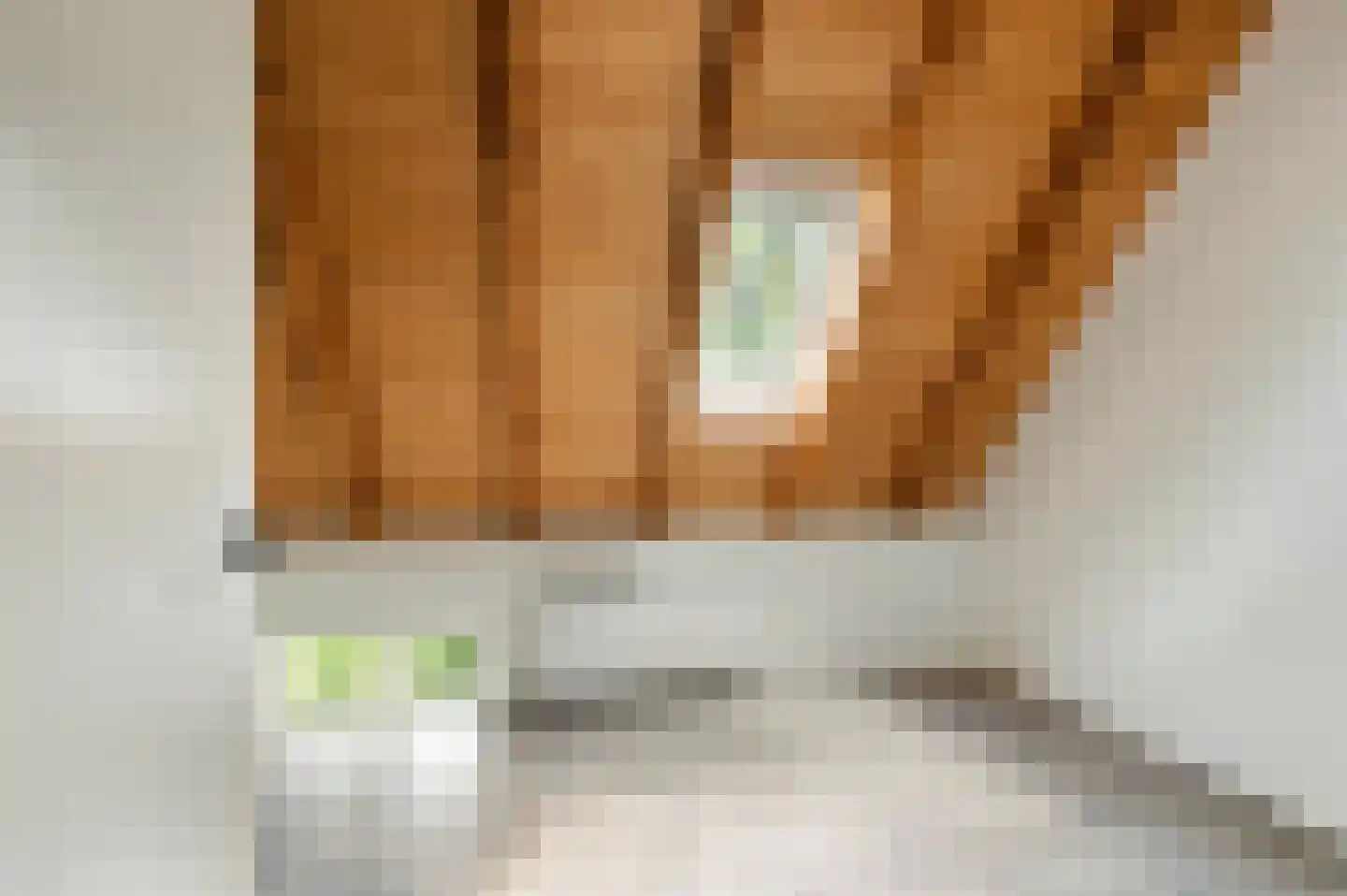 Haanstraat 4 Voorst thumbnail 38