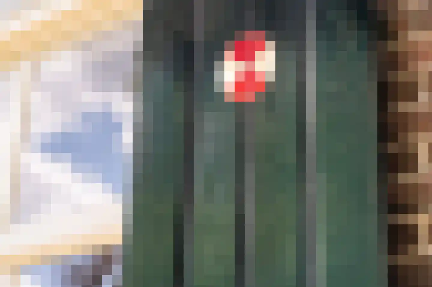 Haanstraat 4 Voorst thumbnail 43