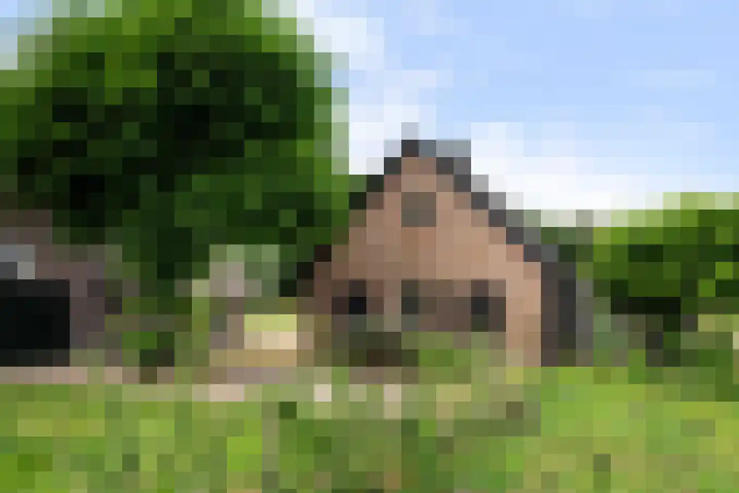 Haanstraat 4 Voorst thumbnail 44