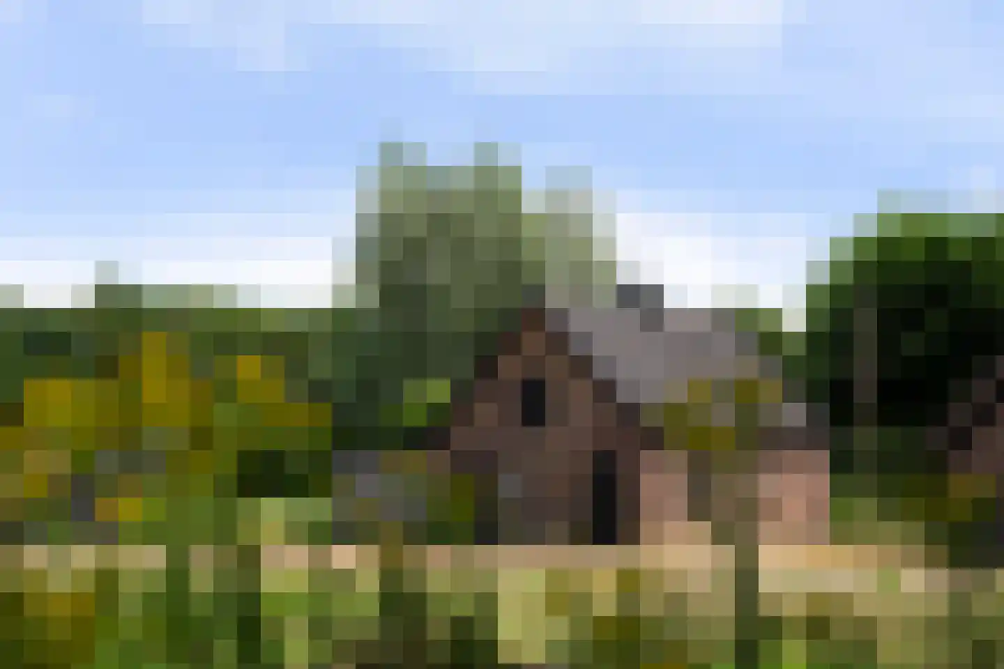 Haanstraat 4 Voorst thumbnail 47