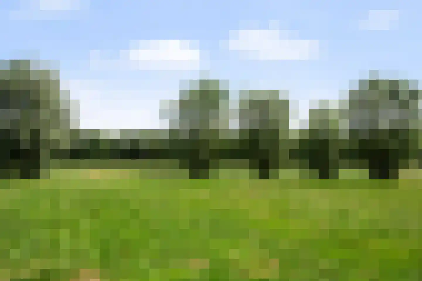 Haanstraat 4 Voorst thumbnail 49