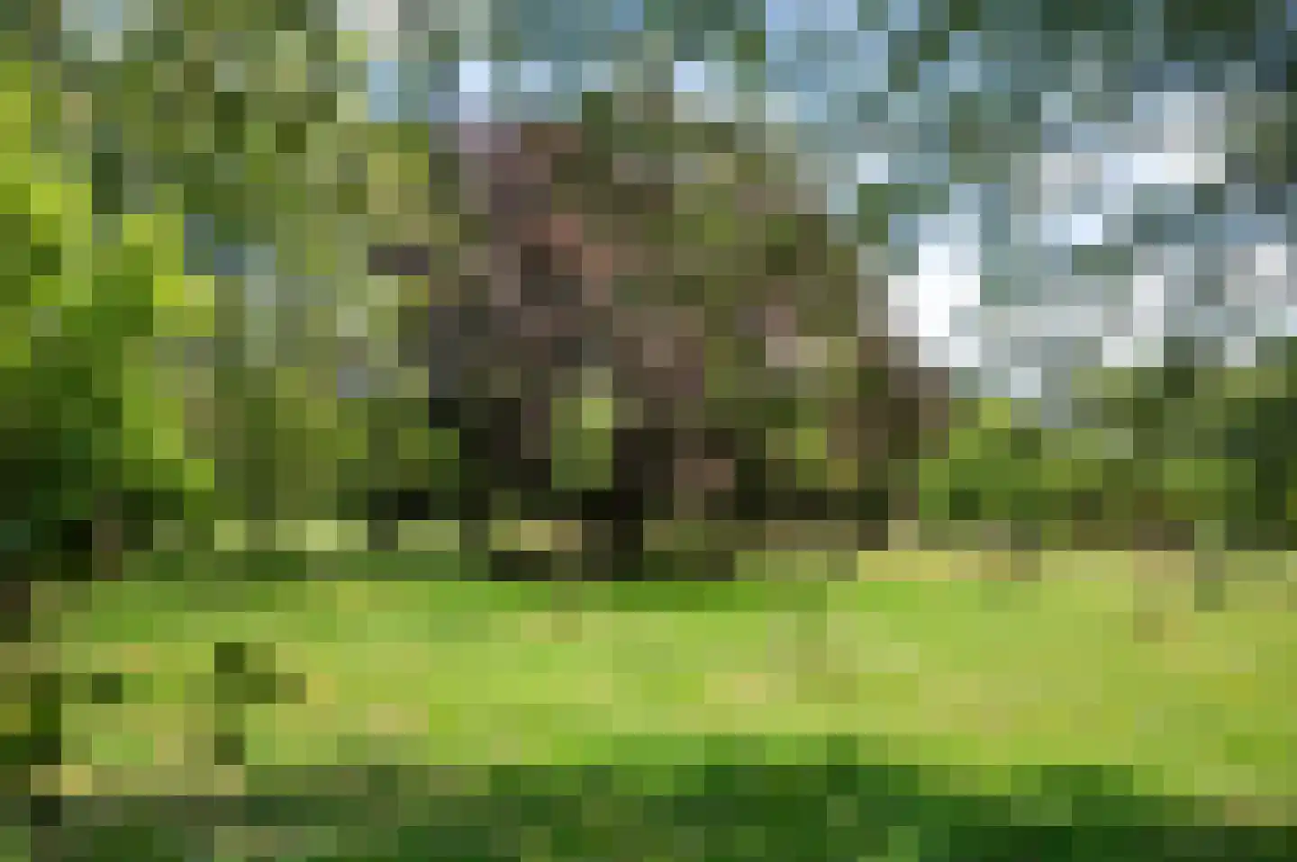Haanstraat 4 Voorst thumbnail 51