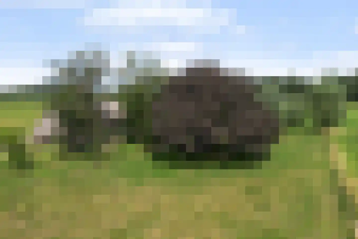 Haanstraat 4 Voorst thumbnail 52