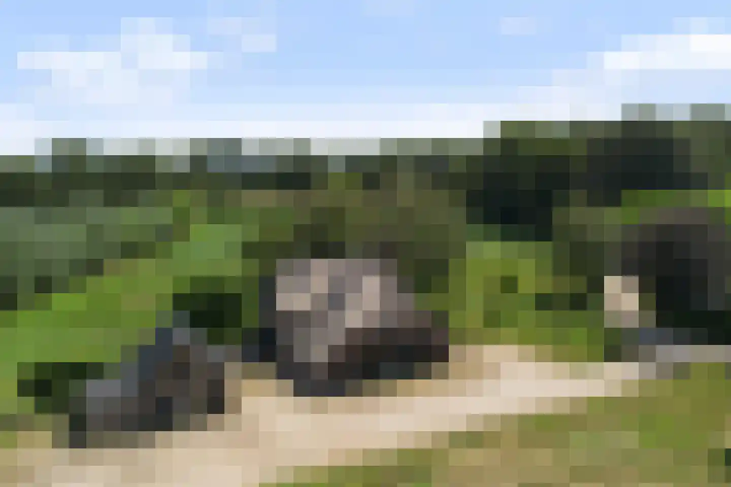 Haanstraat 4 Voorst thumbnail 54