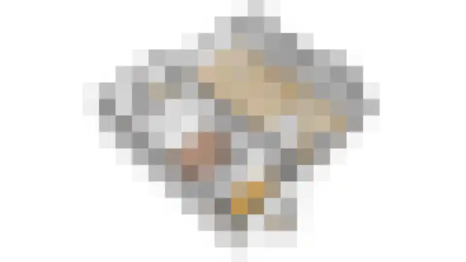 Haanstraat 4 Voorst thumbnail 58