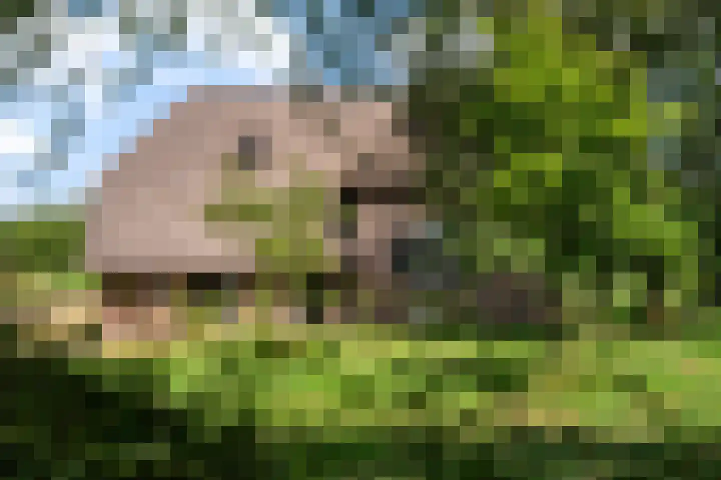 Haanstraat 4 Voorst thumbnail 6