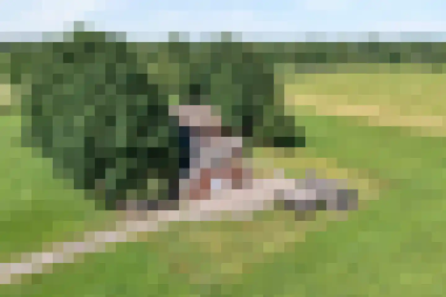 Haansweg 1 Raalte thumbnail 13
