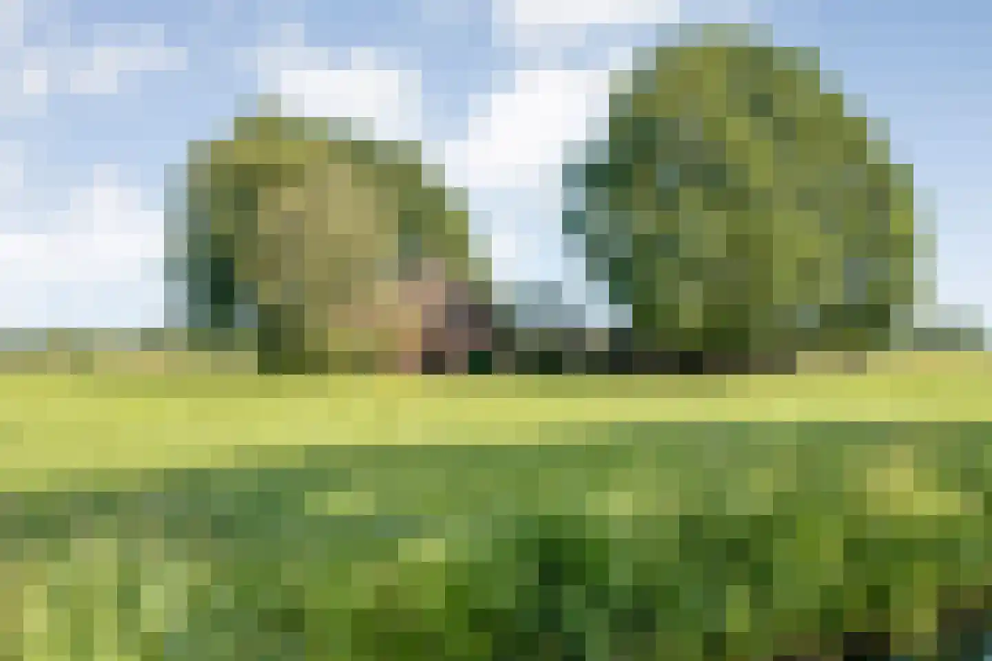Haansweg 1 Raalte thumbnail 14