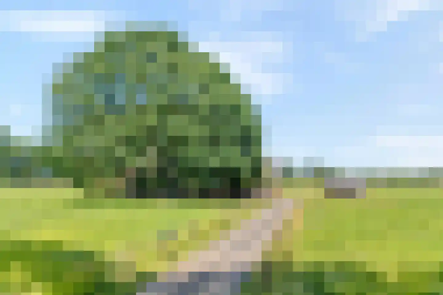 Haansweg 1 Raalte thumbnail 15