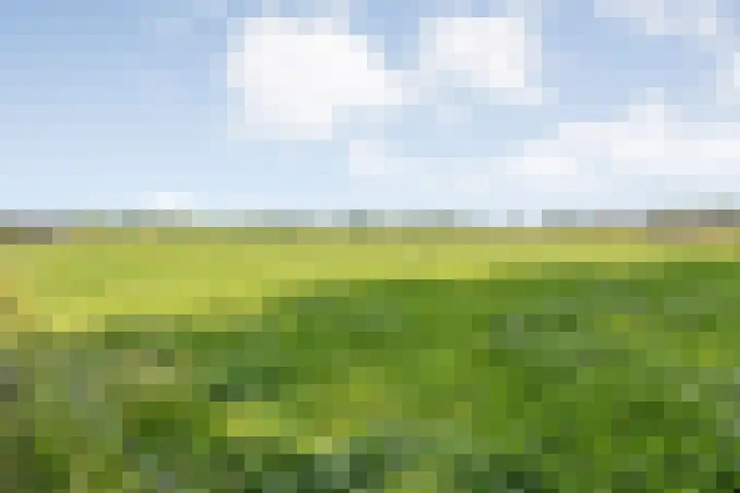 Haansweg 1 Raalte thumbnail 19