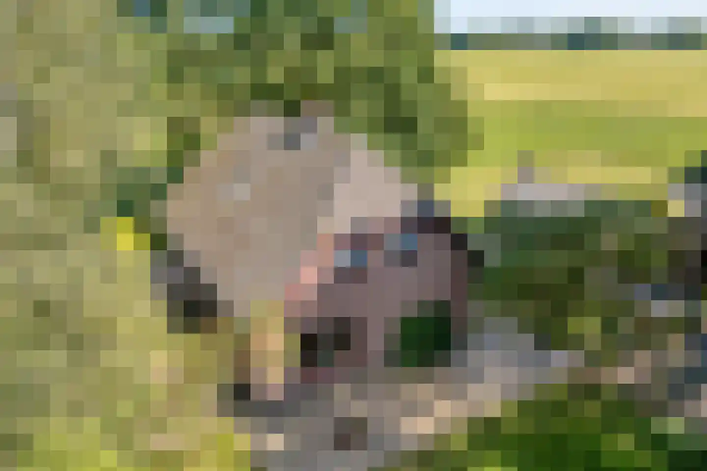 Haansweg 1 Raalte foto 2