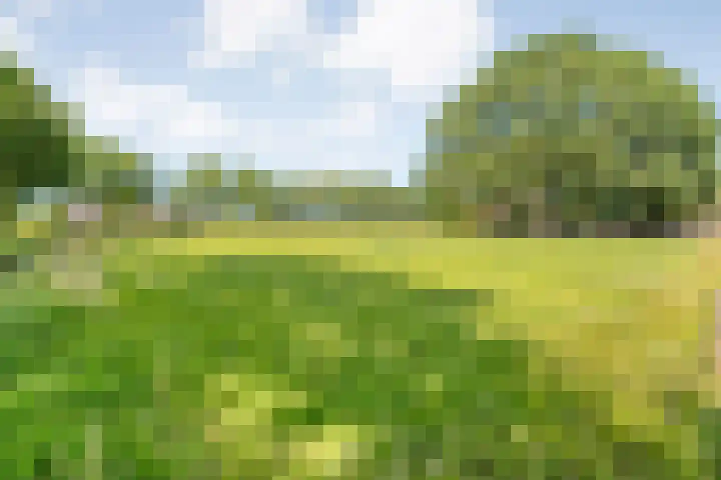 Haansweg 1 Raalte thumbnail 20