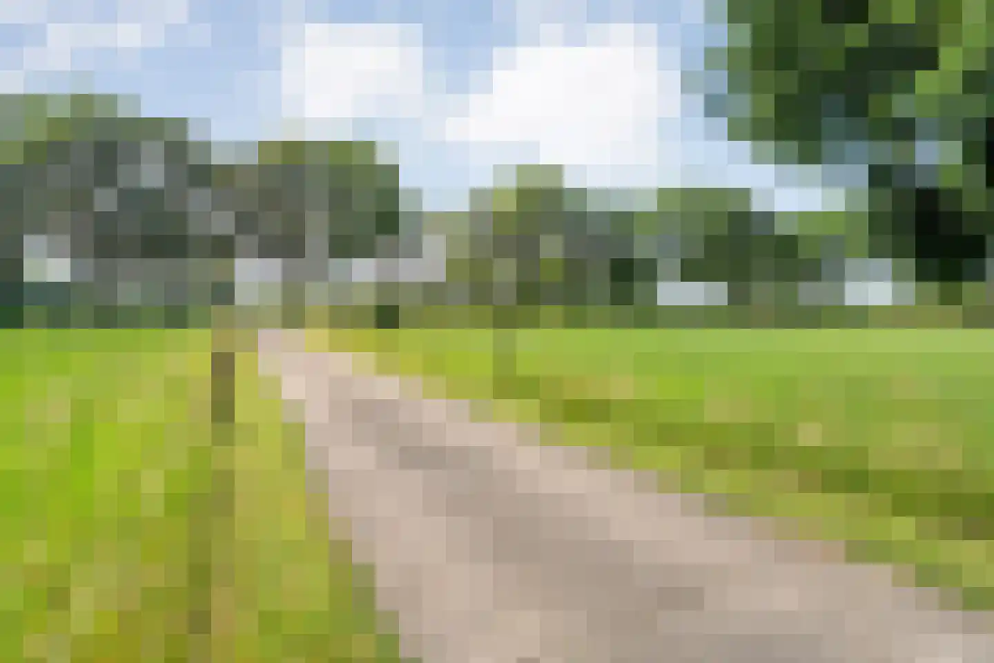 Haansweg 1 Raalte thumbnail 22