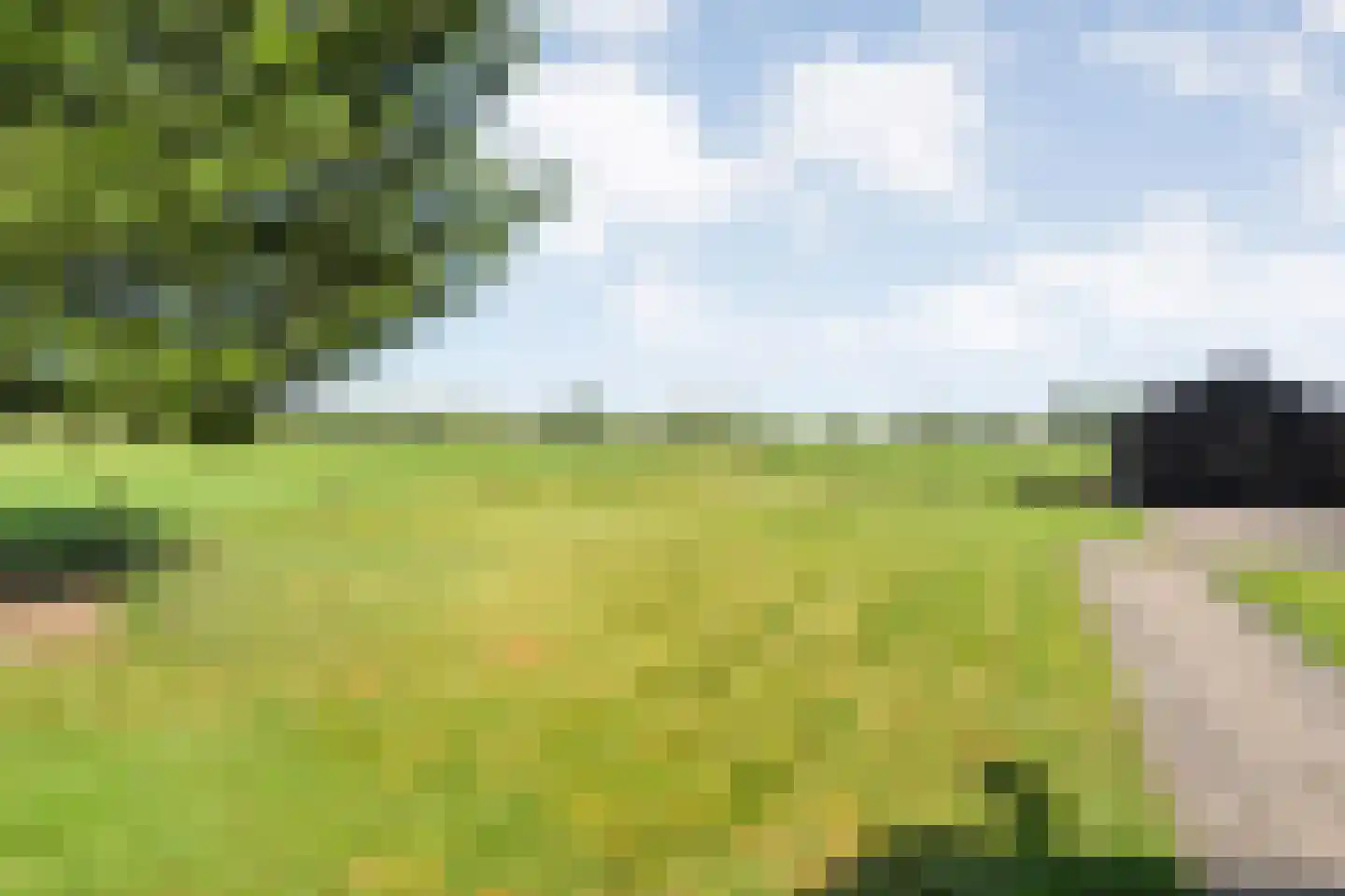 Haansweg 1 Raalte thumbnail 23