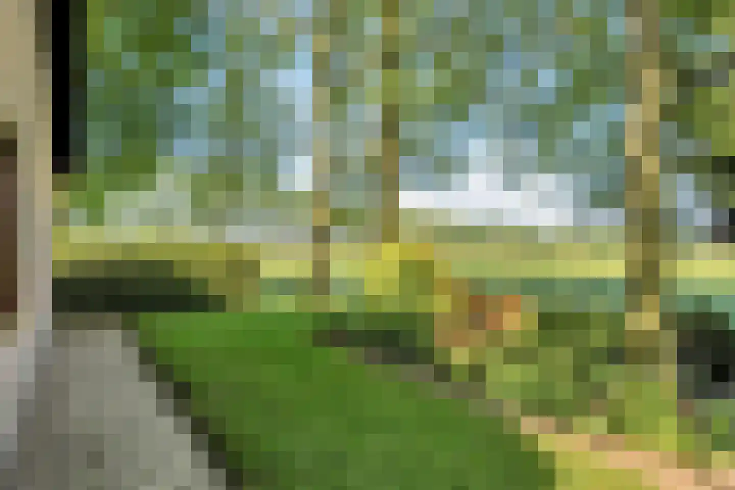 Haansweg 1 Raalte thumbnail 24