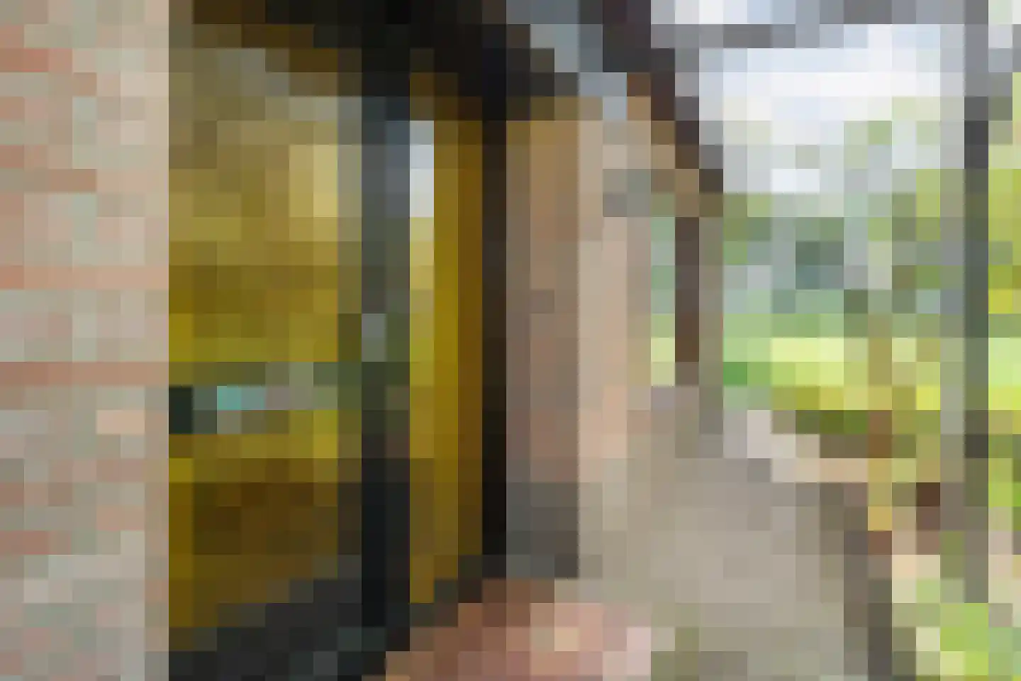 Haansweg 1 Raalte thumbnail 25