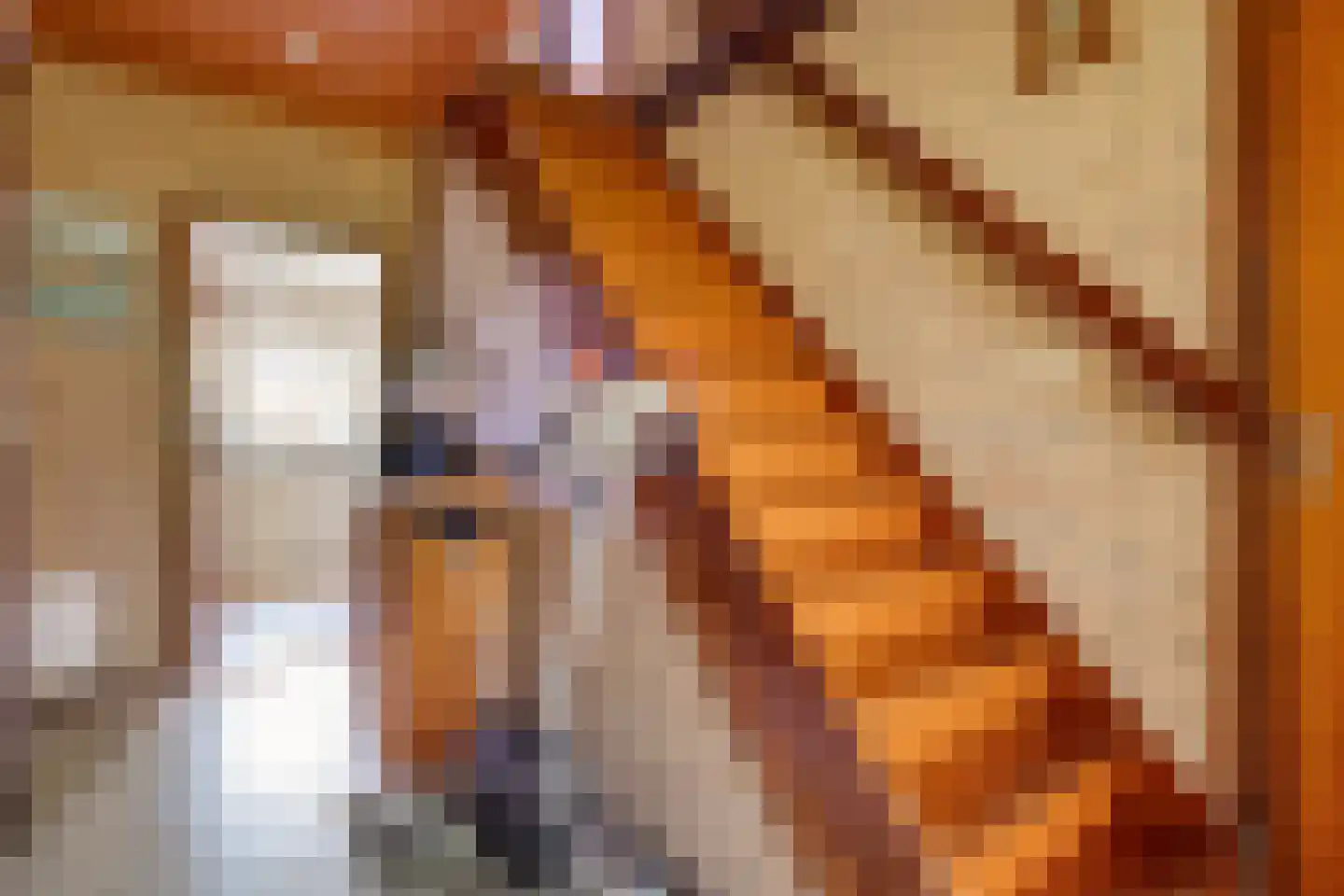 Haansweg 1 Raalte thumbnail 26