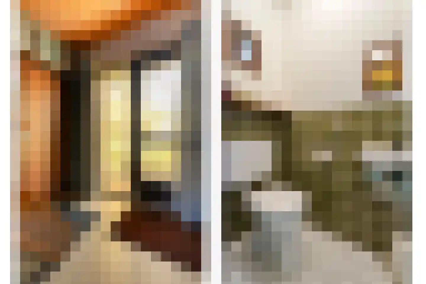 Haansweg 1 Raalte thumbnail 27