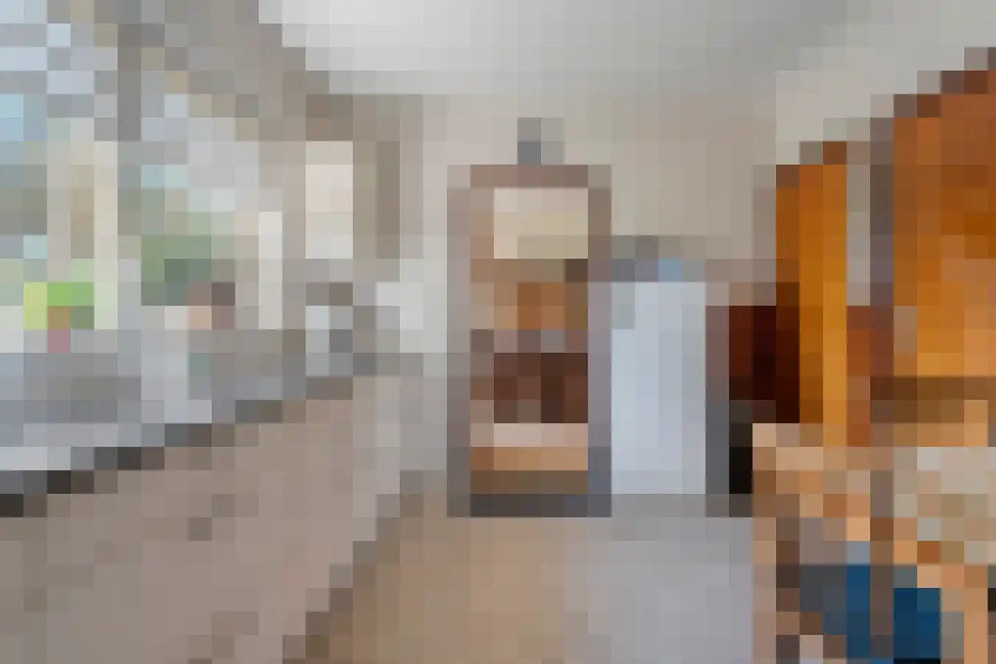 Haansweg 1 Raalte thumbnail 35