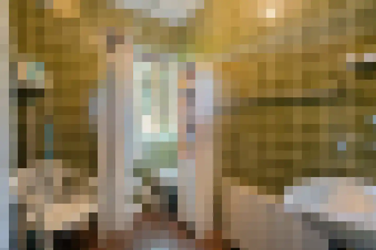 Haansweg 1 Raalte thumbnail 42