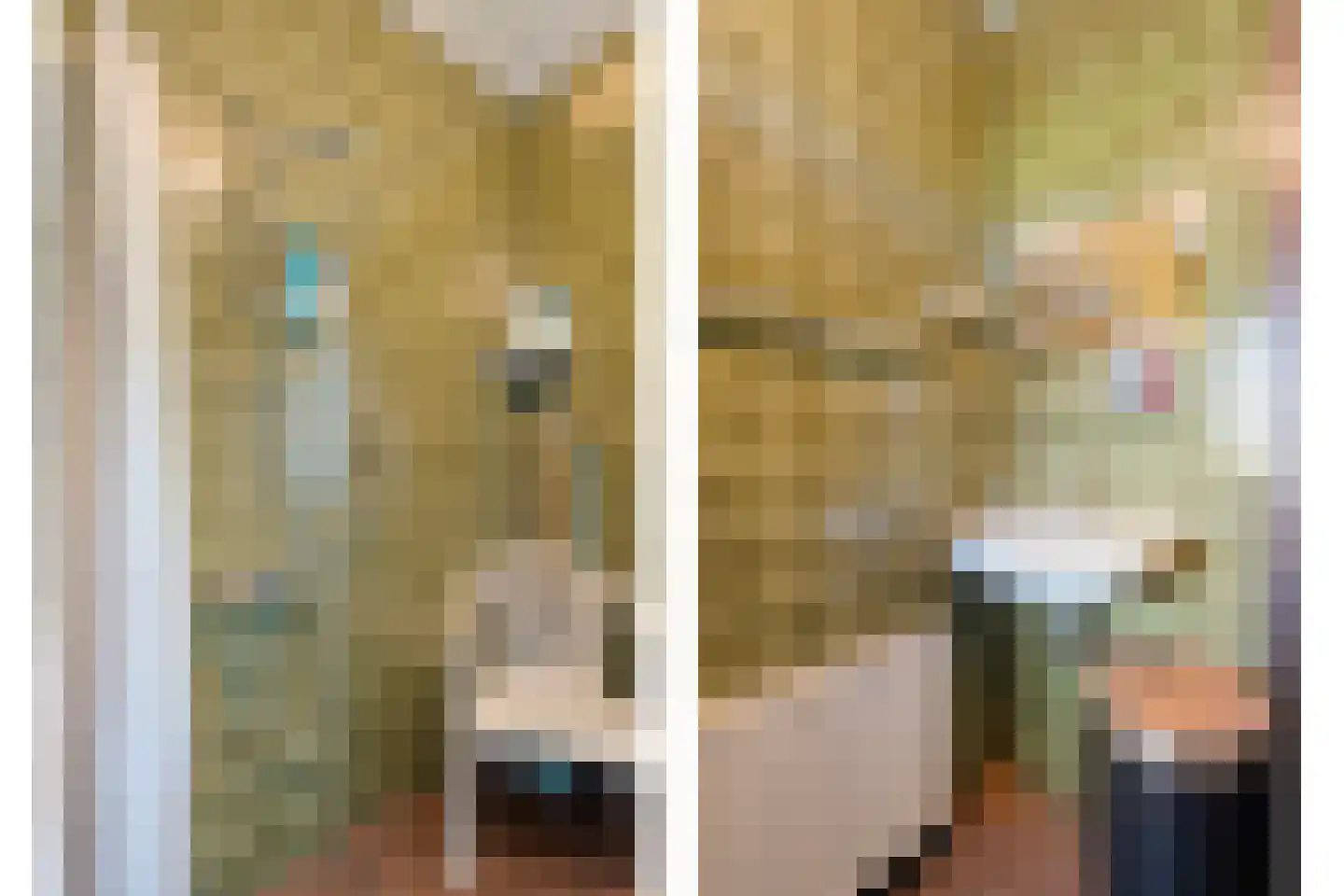 Haansweg 1 Raalte thumbnail 43