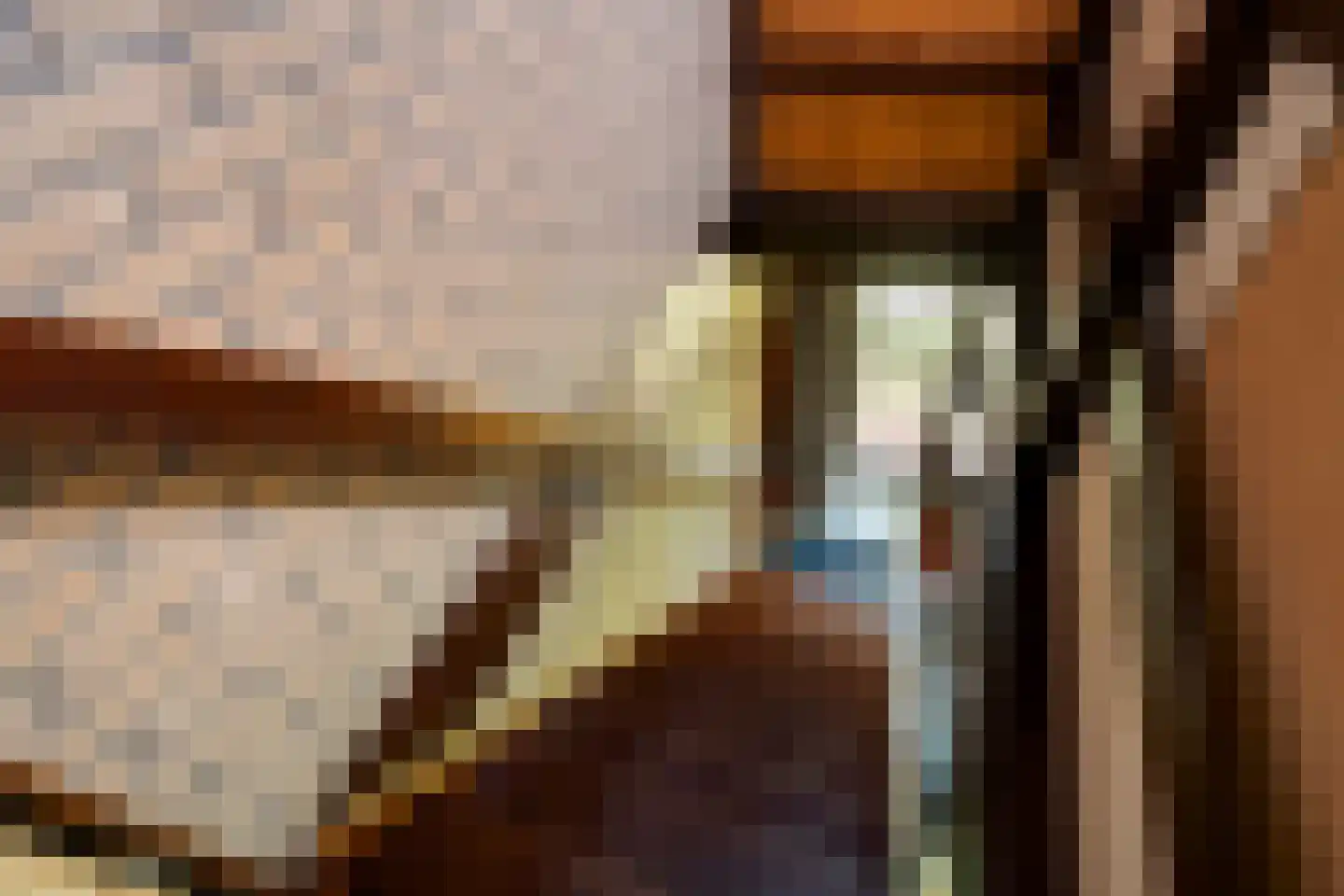 Haansweg 1 Raalte thumbnail 44