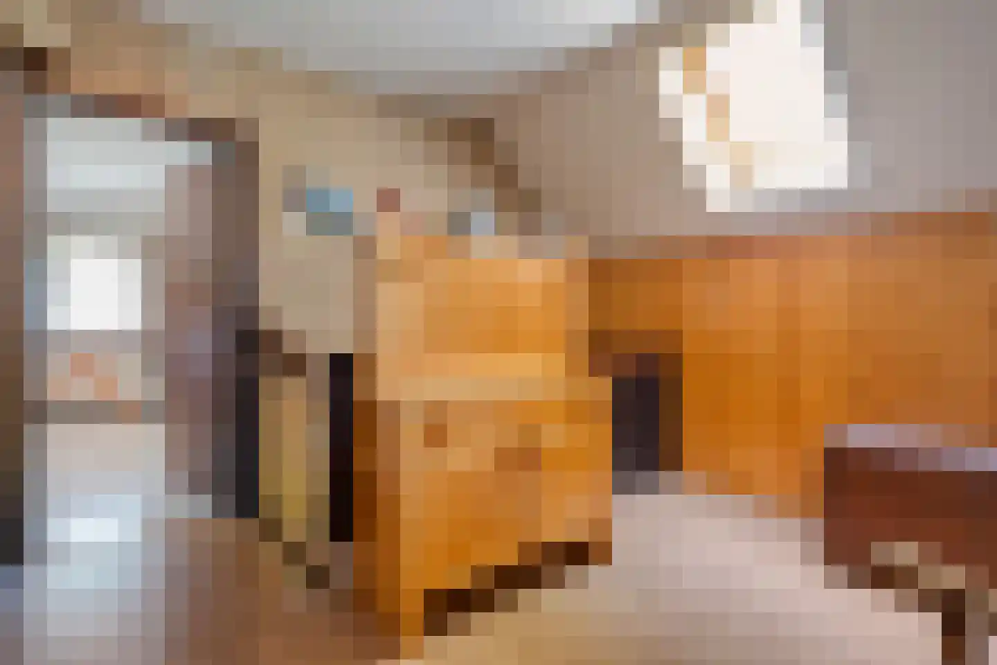 Haansweg 1 Raalte thumbnail 45