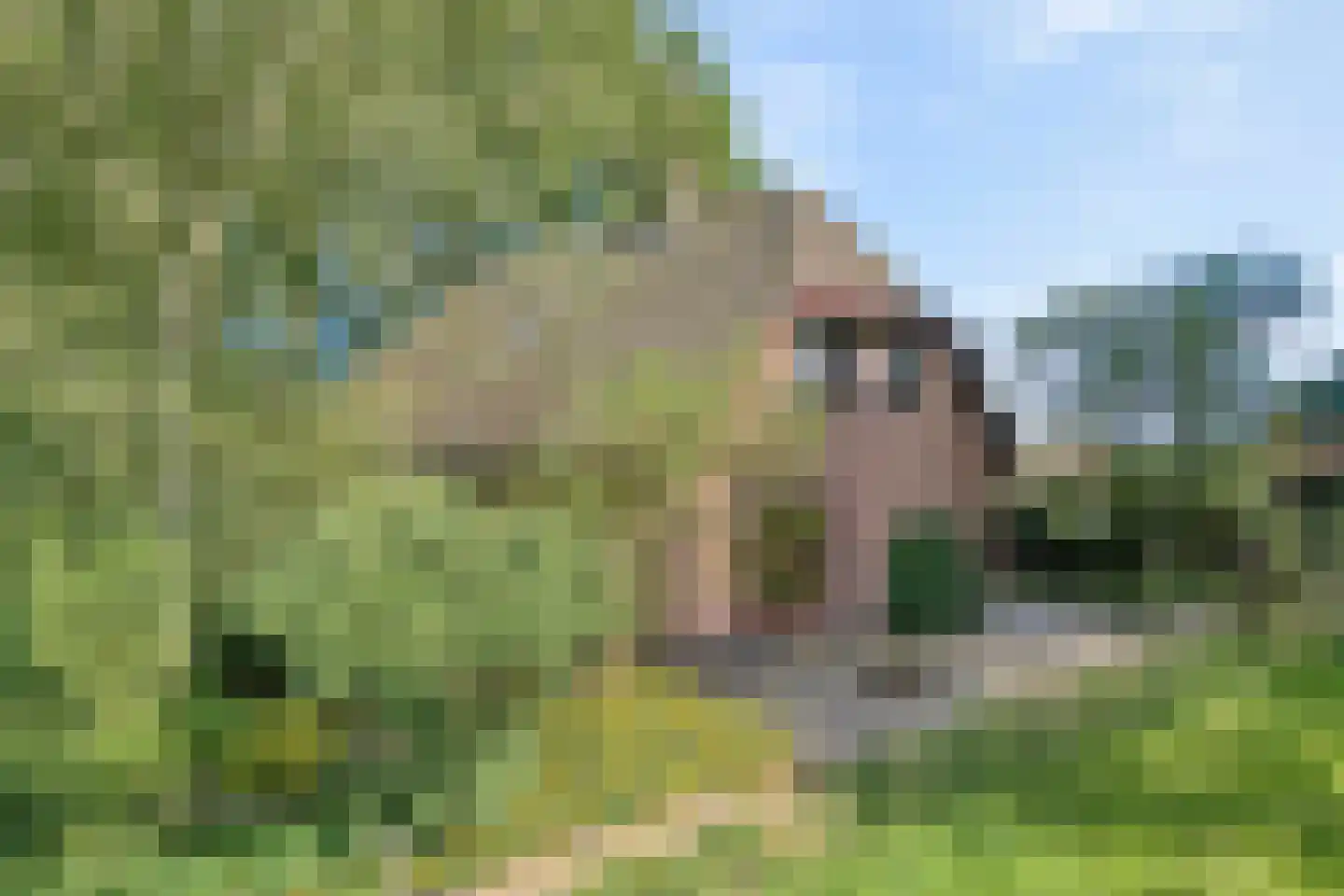Haansweg 1 Raalte thumbnail 5