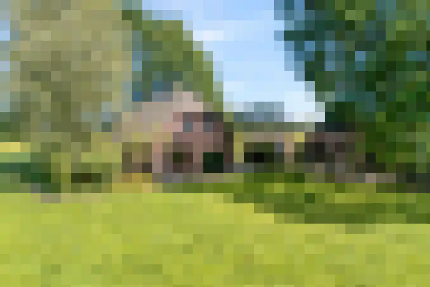 Haansweg 1 Raalte thumbnail 6