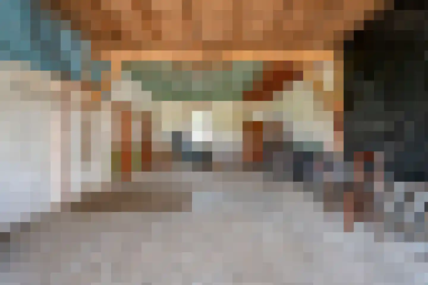 Haansweg 1 Raalte thumbnail 60