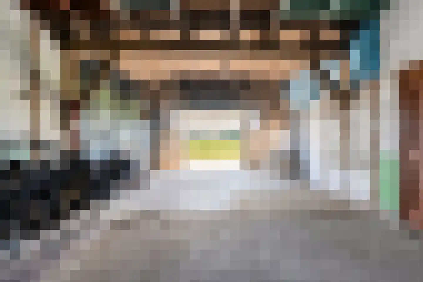 Haansweg 1 Raalte thumbnail 61