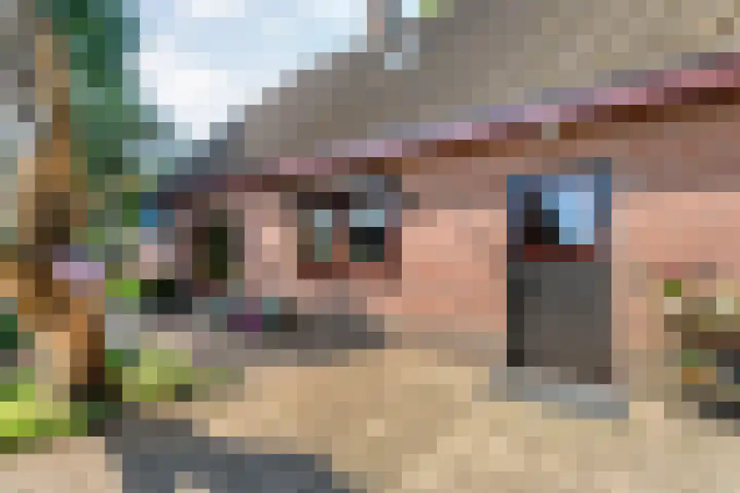Haansweg 1 Raalte thumbnail 63