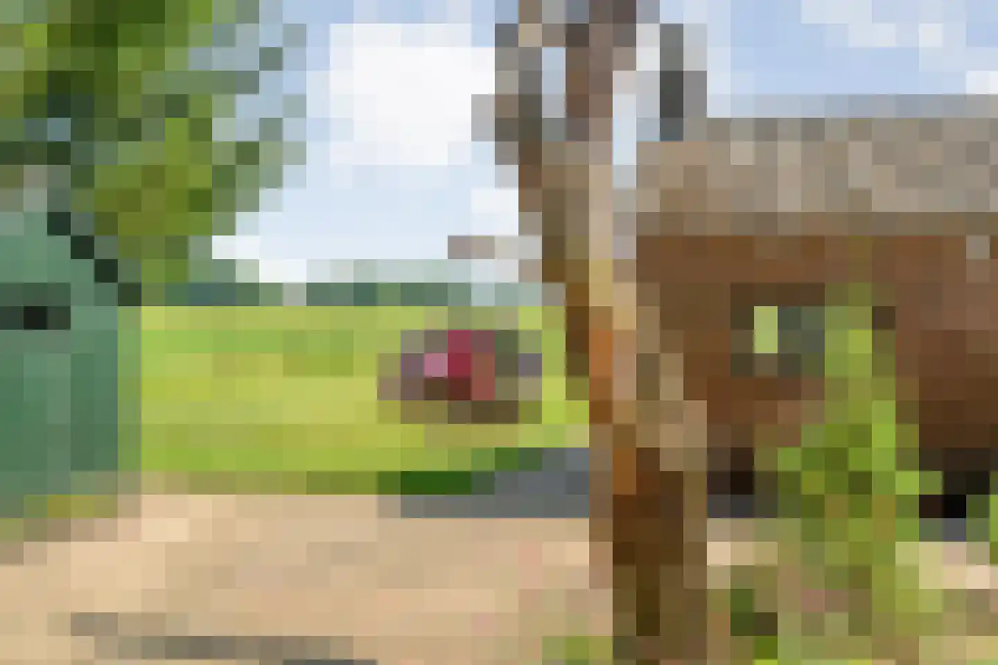 Haansweg 1 Raalte thumbnail 64