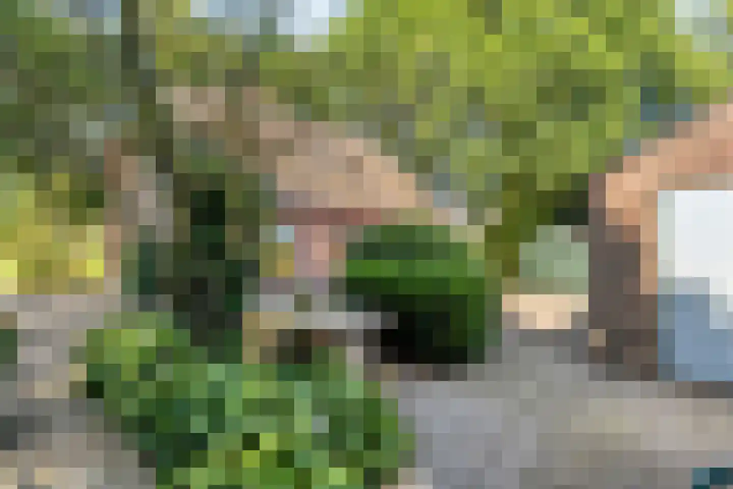 Haansweg 1 Raalte thumbnail 66