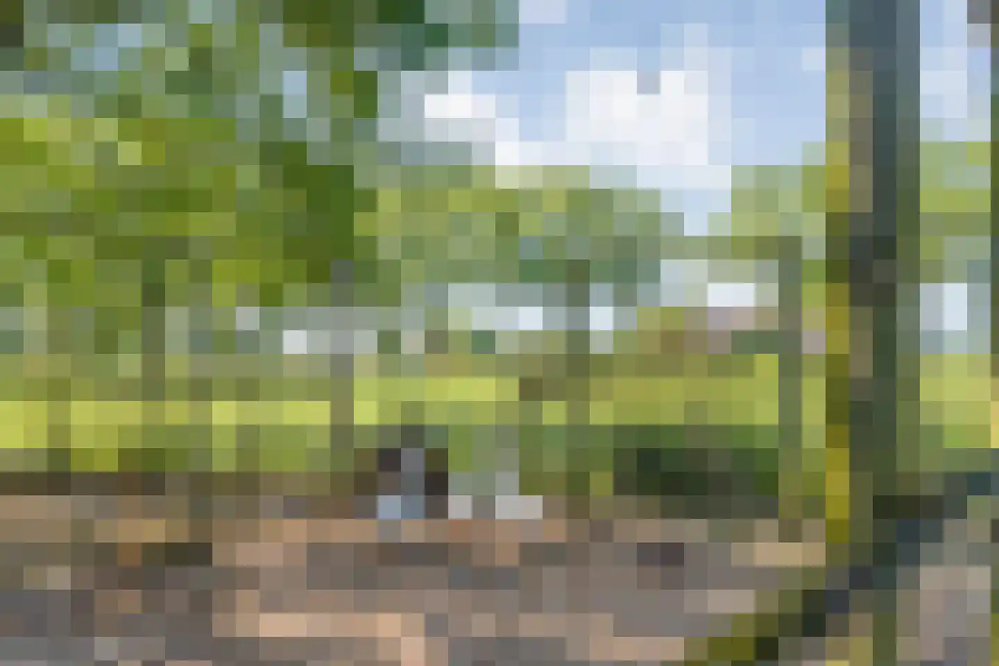Haansweg 1 Raalte thumbnail 67