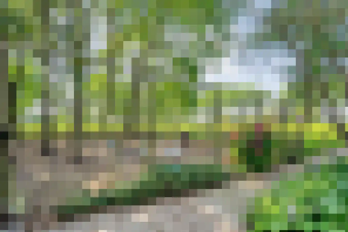 Haansweg 1 Raalte thumbnail 68