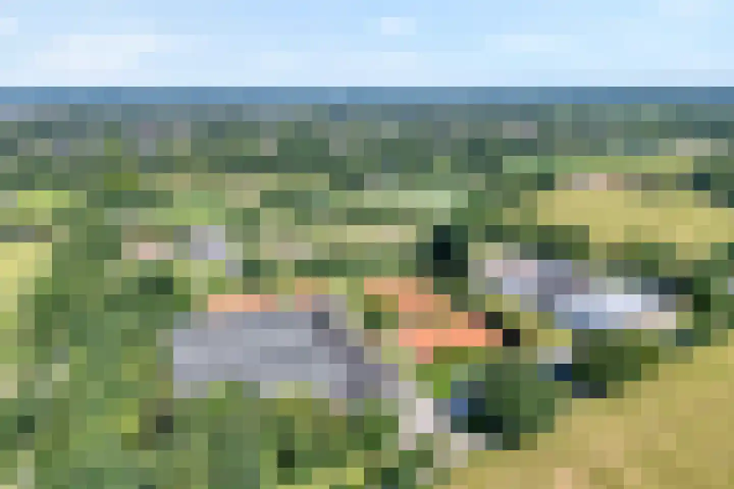 Haansweg 1 Raalte thumbnail 7