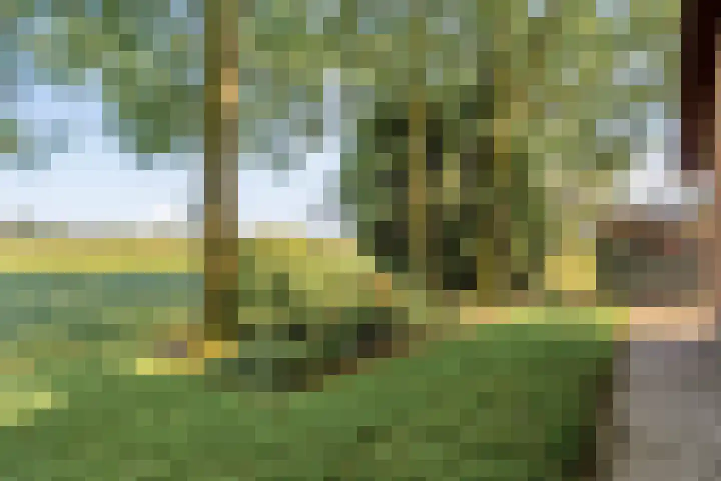 Haansweg 1 Raalte thumbnail 71